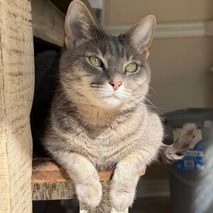 Meet your Posher, Eden